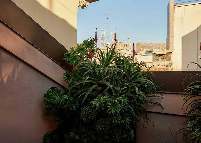 Straf, Milan, A Member Of Design